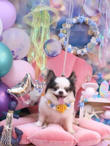 20240802リアンくん